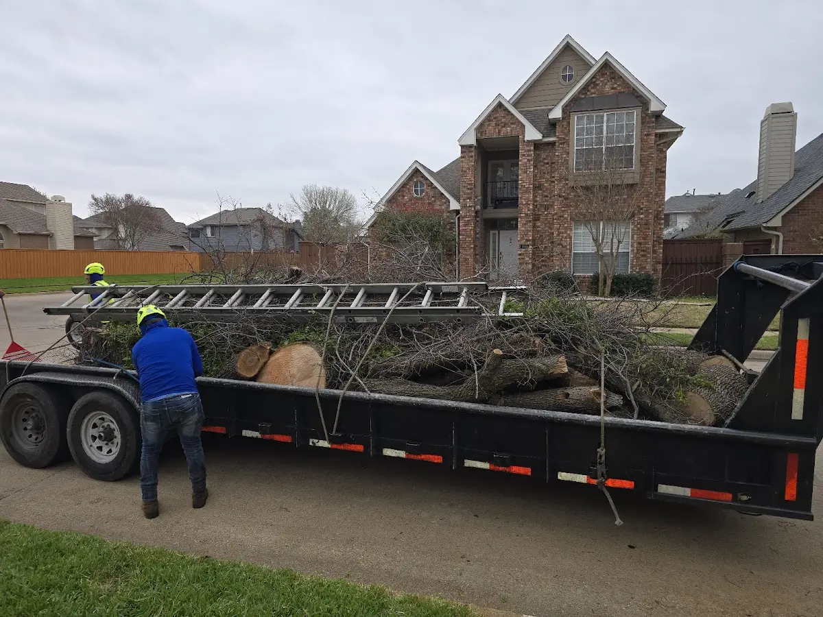 Expert Lot Clearing with proper safety equipment in Edwardsville